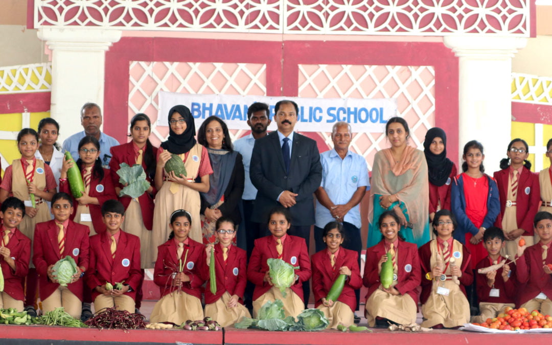 It’s Harvest Time!